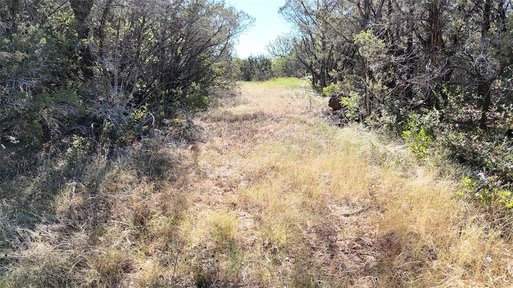 Palo Pinto, TX 76484,Lot 110 Davenport Road