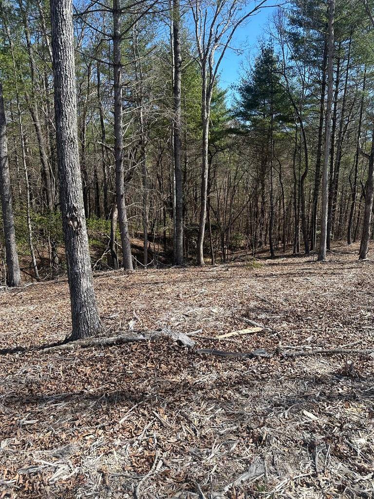 Morganton, GA 30560,Lot 188 The Ridges