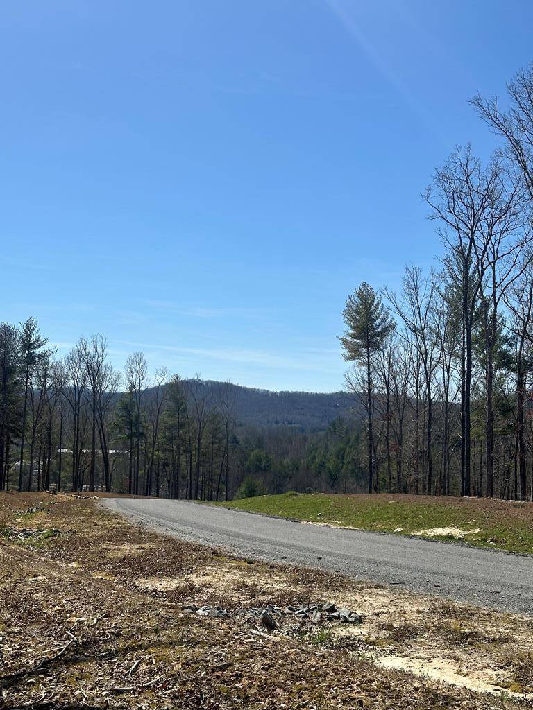 Morganton, GA 30560,Lot 188 The Ridges