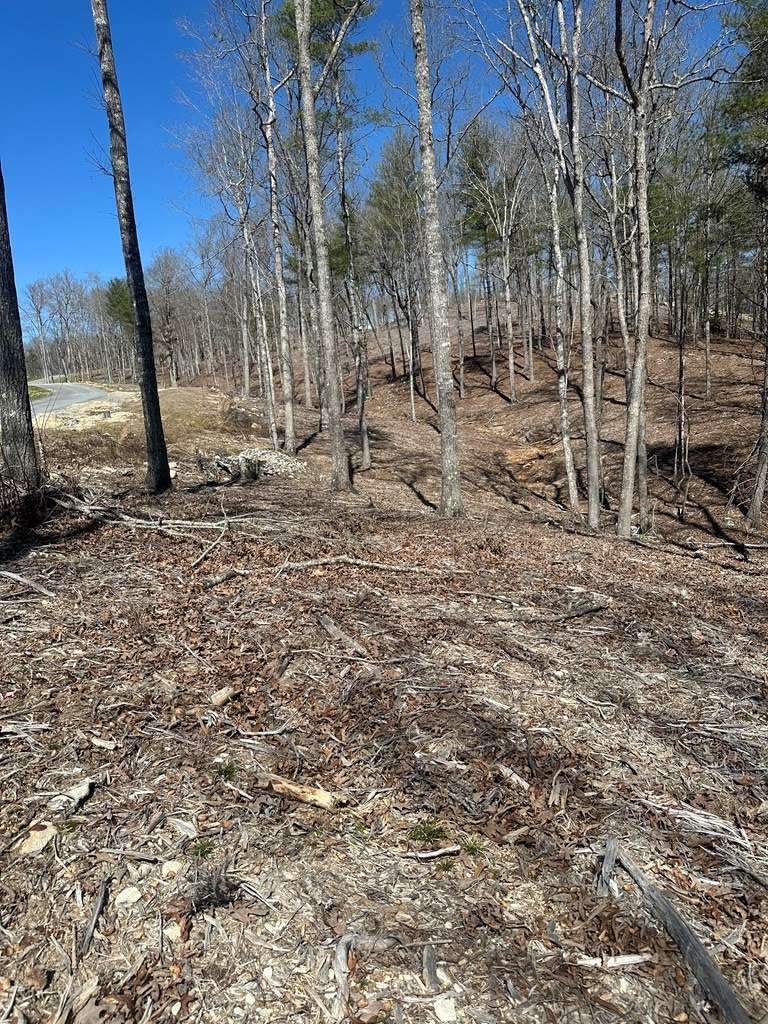 Morganton, GA 30560,Lot 188 The Ridges