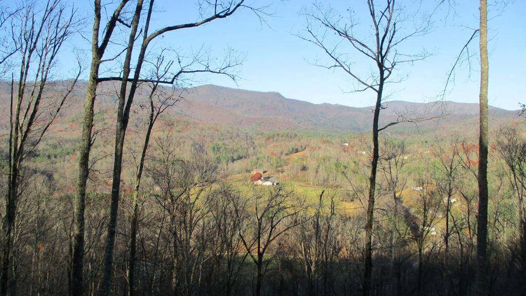 Hayesville, NC 28904,Lot 20 Fly Cast Overlook