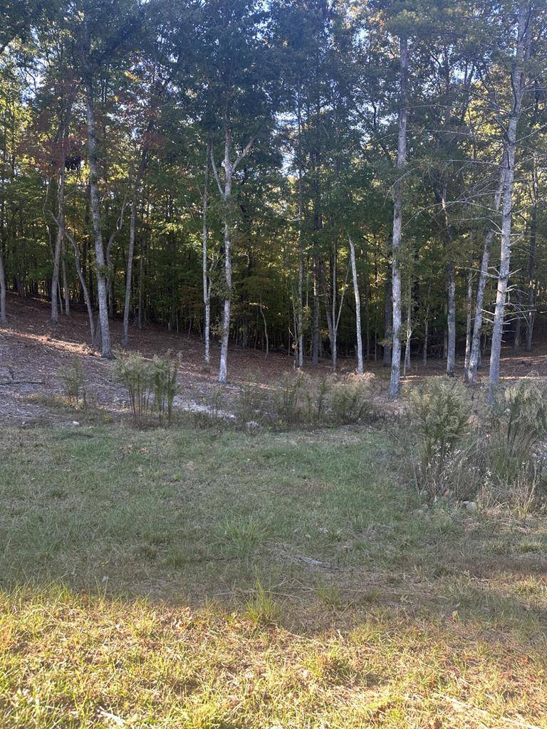 Morganton, GA 30560,Lot 42 Ridge Dr