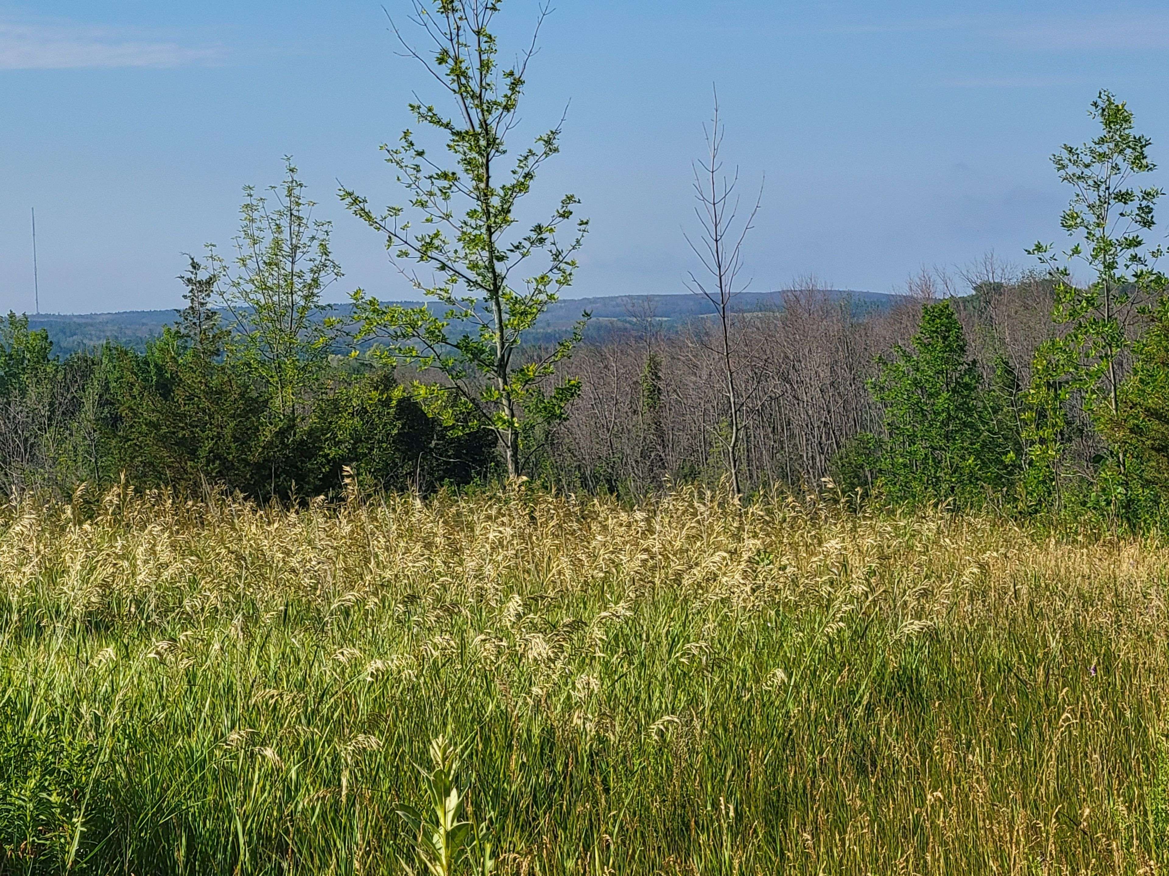 Alnwick/haldimand, ON K0K 2X0,0 Curtis Point RD