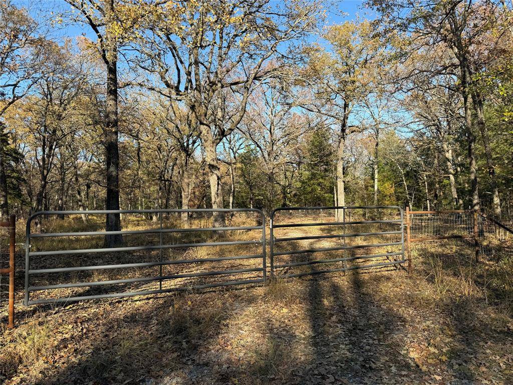 Honey Grove, TX 75446,0000 County Road 2418