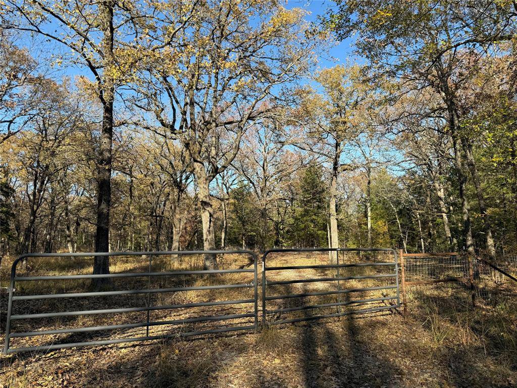 Honey Grove, TX 75446,0000 County Road 2418