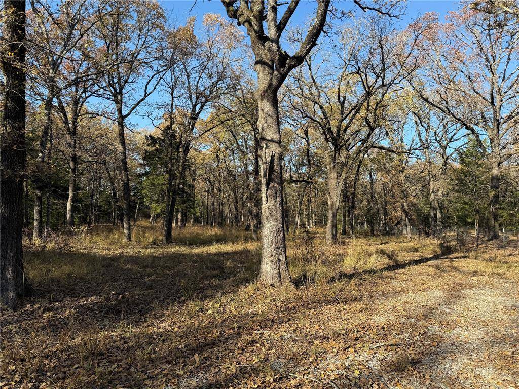 Honey Grove, TX 75446,0000 County Road 2418