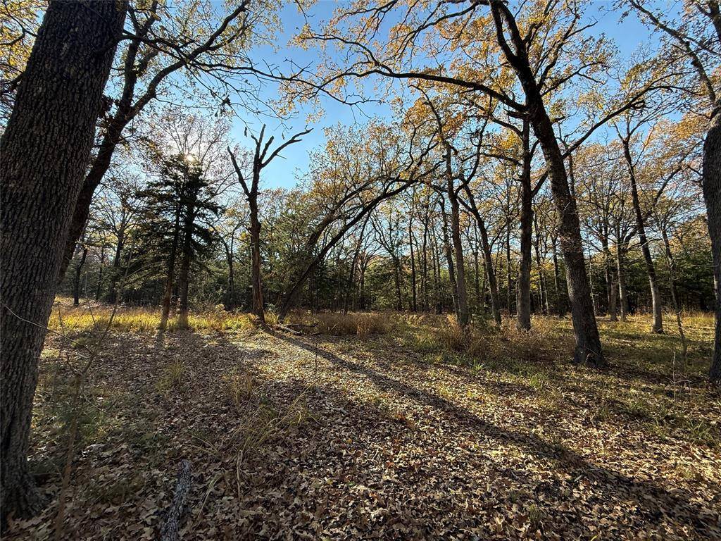 Honey Grove, TX 75446,0000 County Road 2418