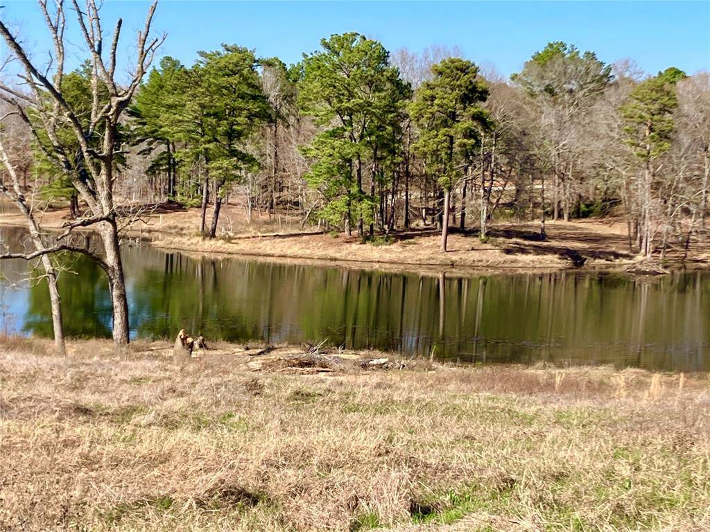 Big Sandy, TX 75755,Lot 64 White Oak Creek