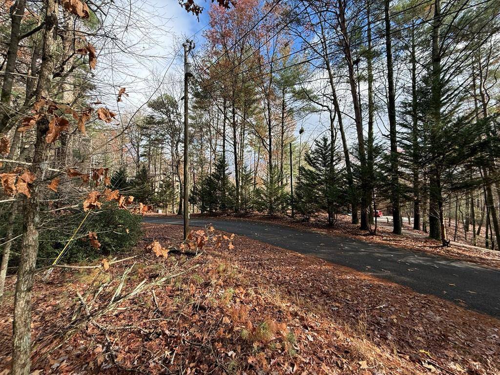 Ellijay, GA 30540,Lot 235 Toccoa Court