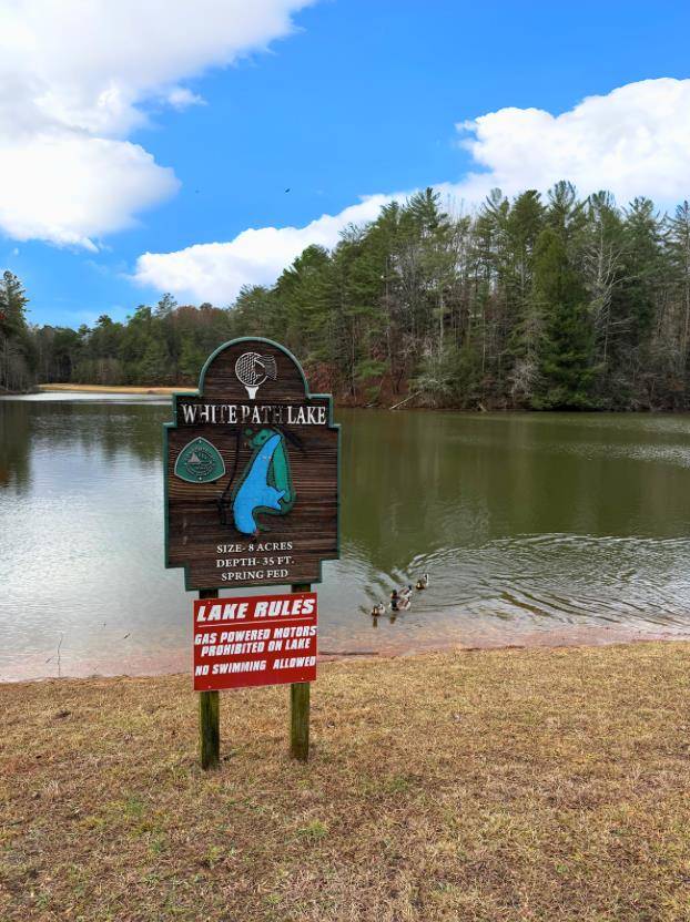 Ellijay, GA 30540,Lot 235 Toccoa Court