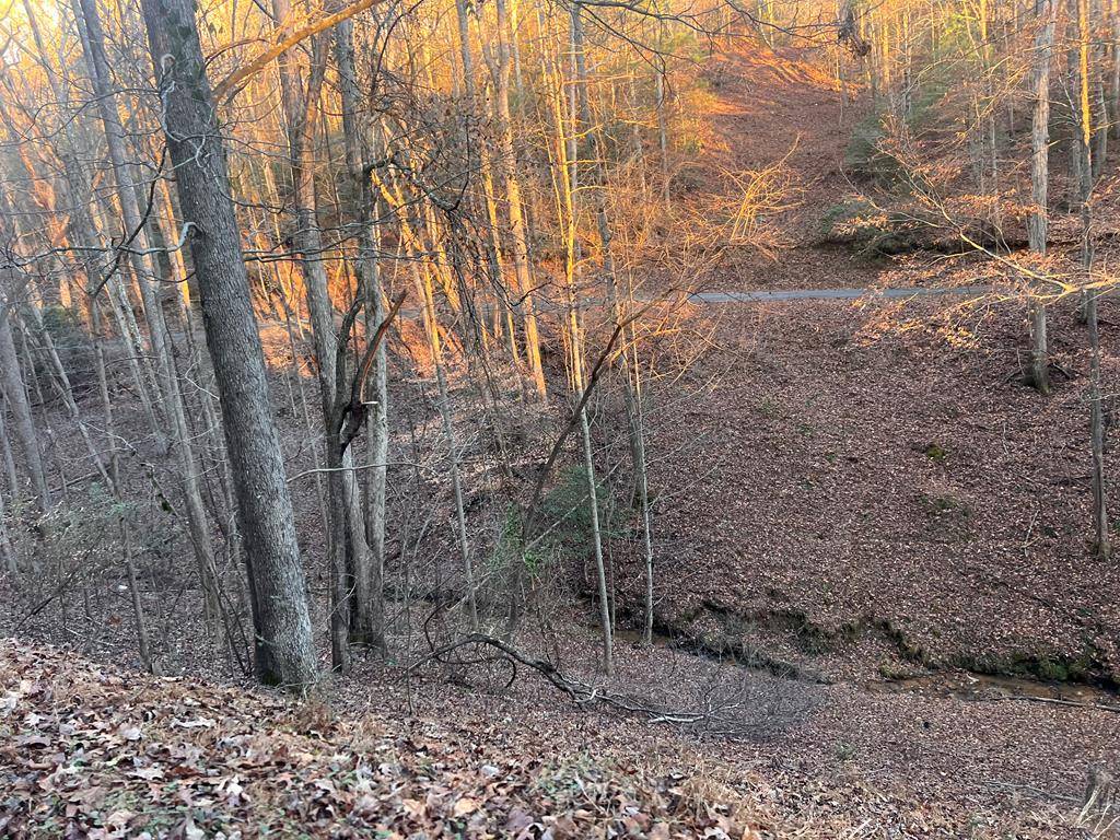 Ellijay, GA 30540,LOT 319 Riverview Drive