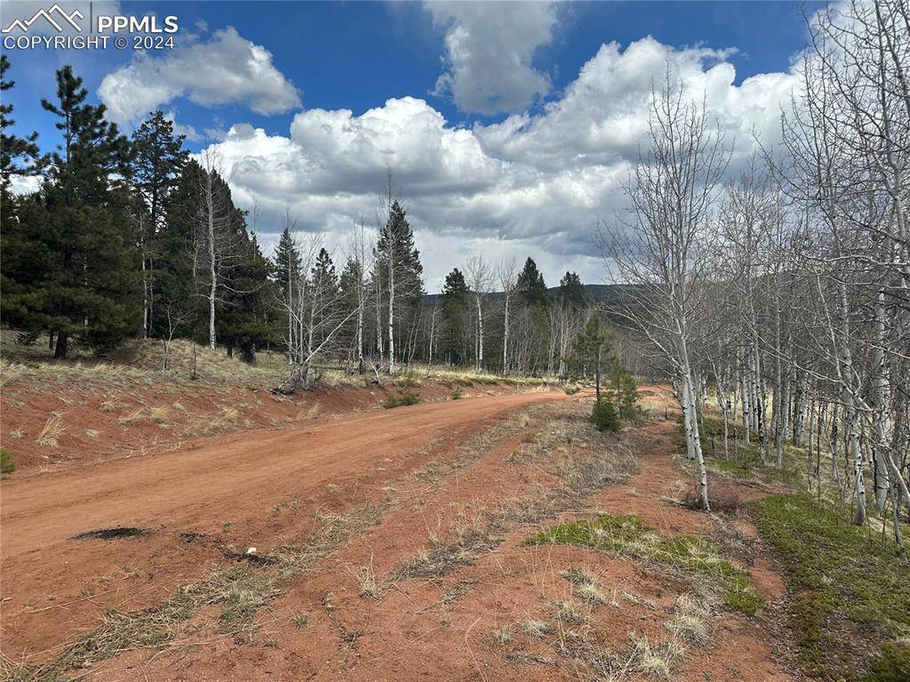 Woodland Park, CO 80863,Stone Ridge DR