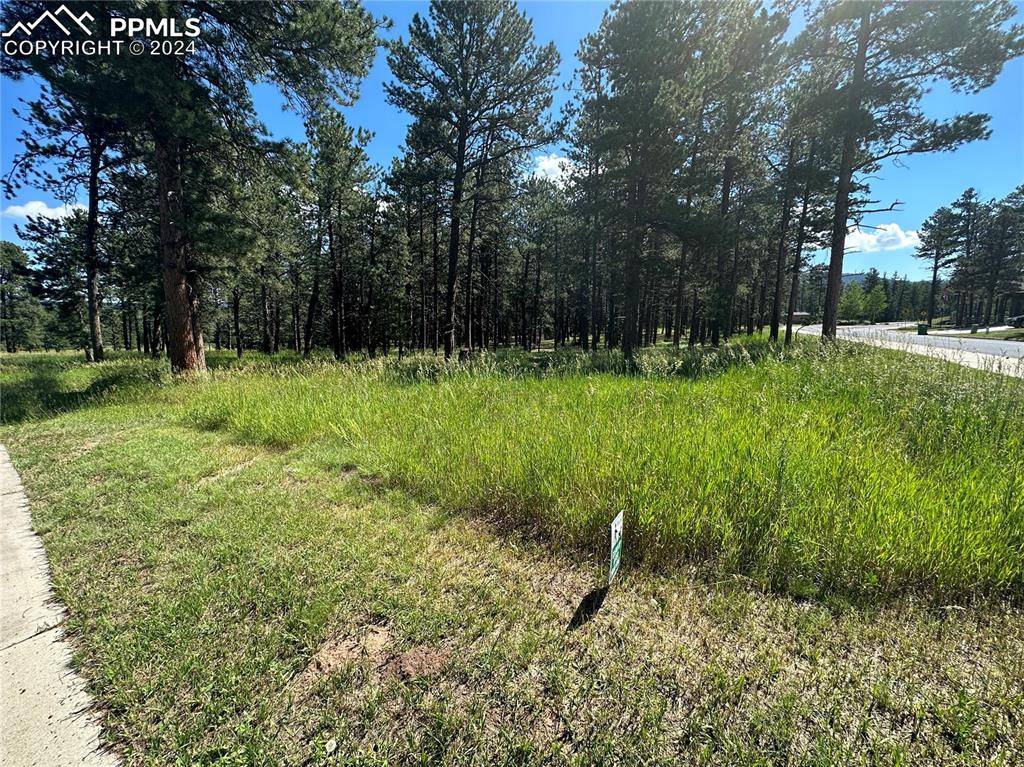 Woodland Park, CO 80863,Stone Ridge DR