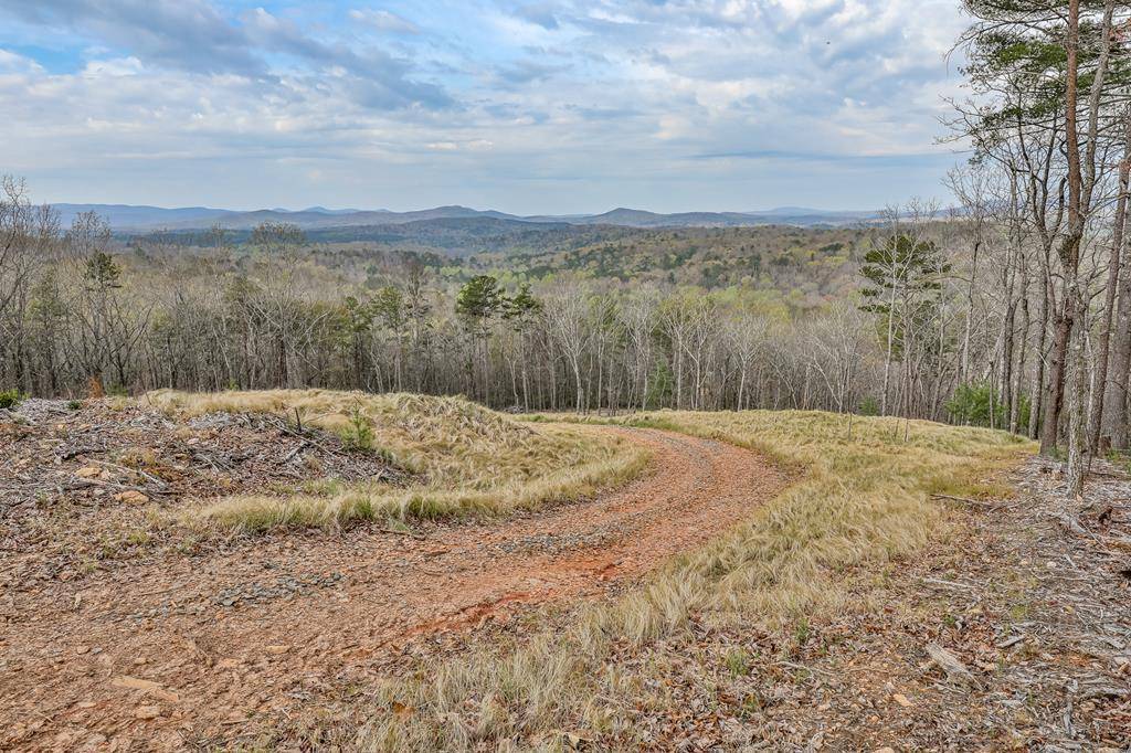 Ellijay, GA 30540,34 ACRES Garrett Branch Circle