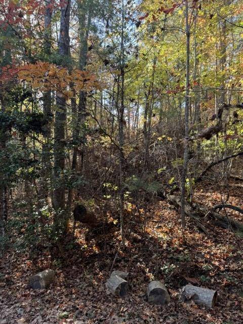 Blue Ridge, GA 30513,11 Mill Creek Acres