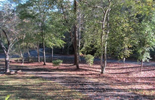 Mineral Bluff, GA 30559,41 Little Falls Drive