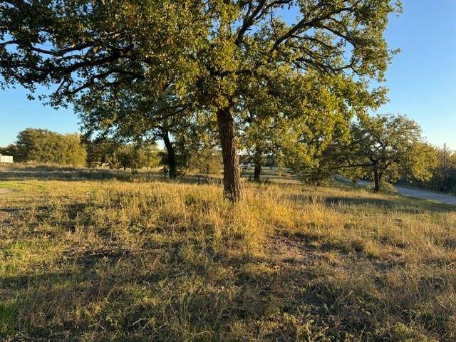 Valley View, TX 76272,TBD FM 372-Prairie Grove Prairie Grove Road