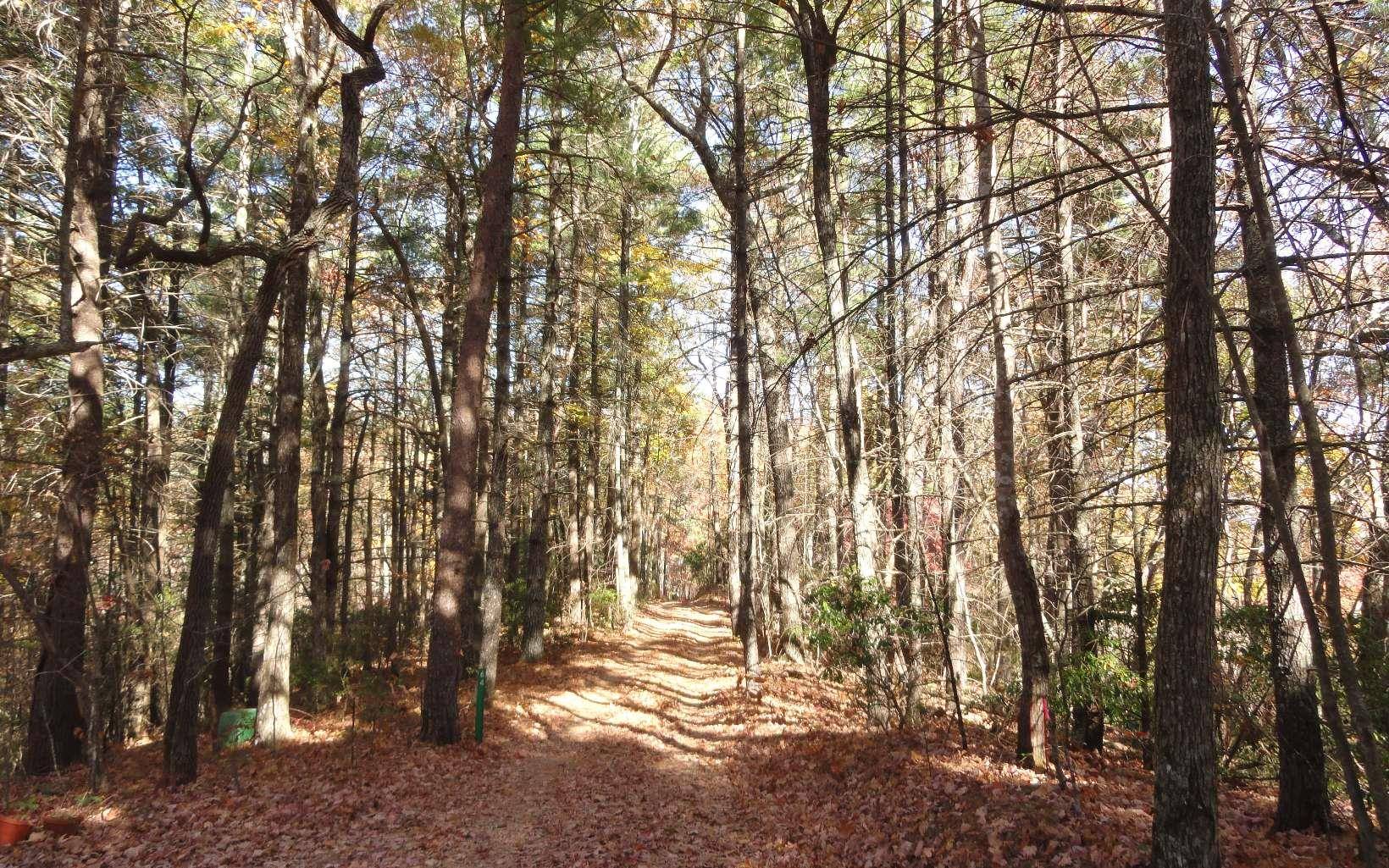 Blairsville, GA 30512,LOT B Cindy Cove