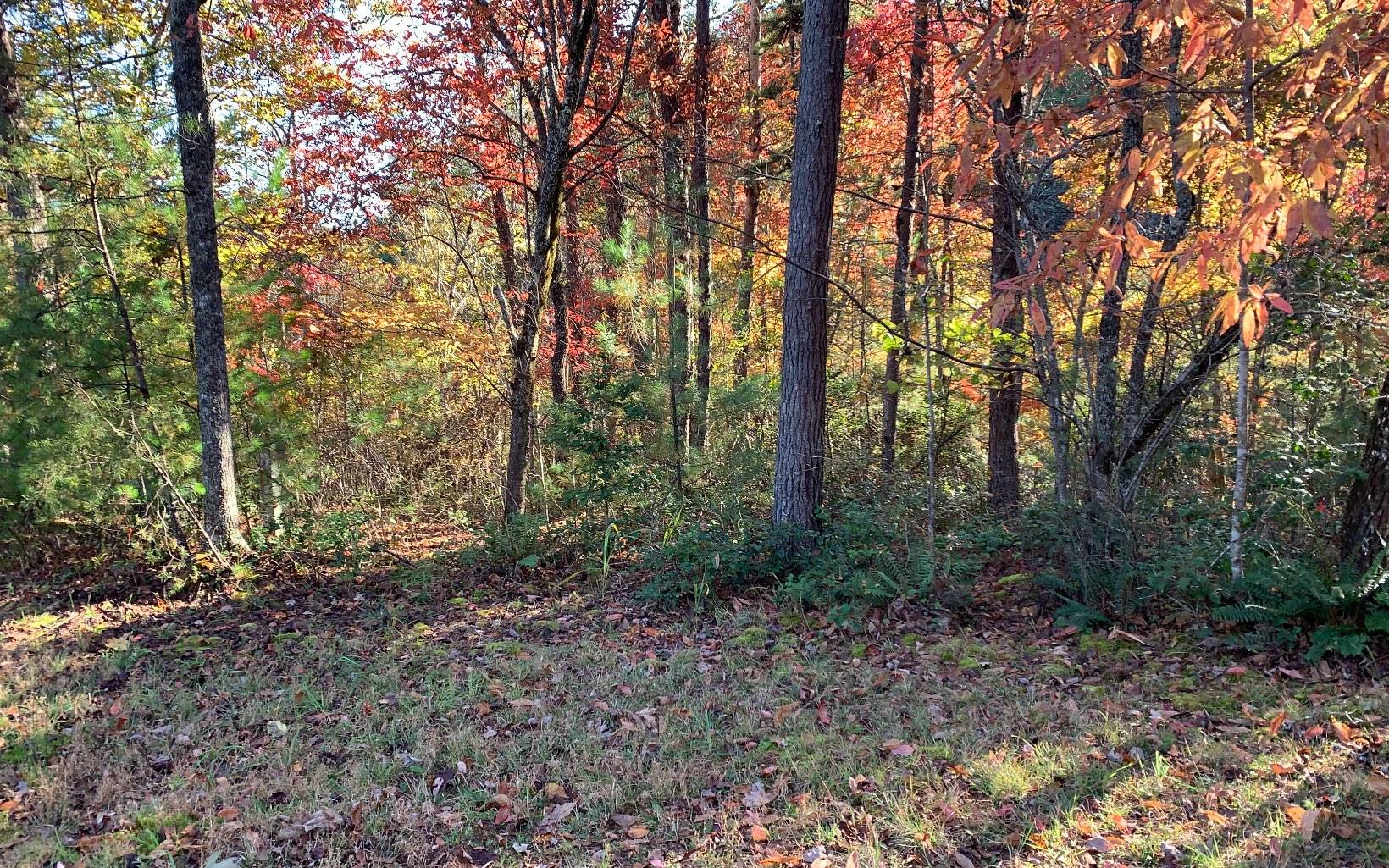 Warne, NC 28909,2B Ashley Trail