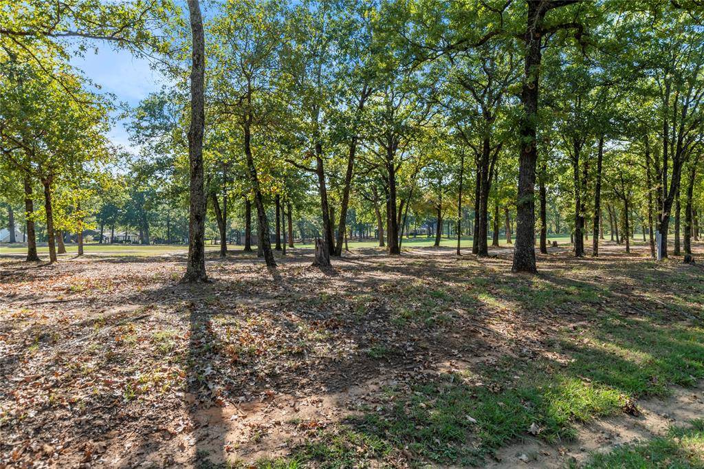 Mabank, TX 75156,00 Colonial Drive