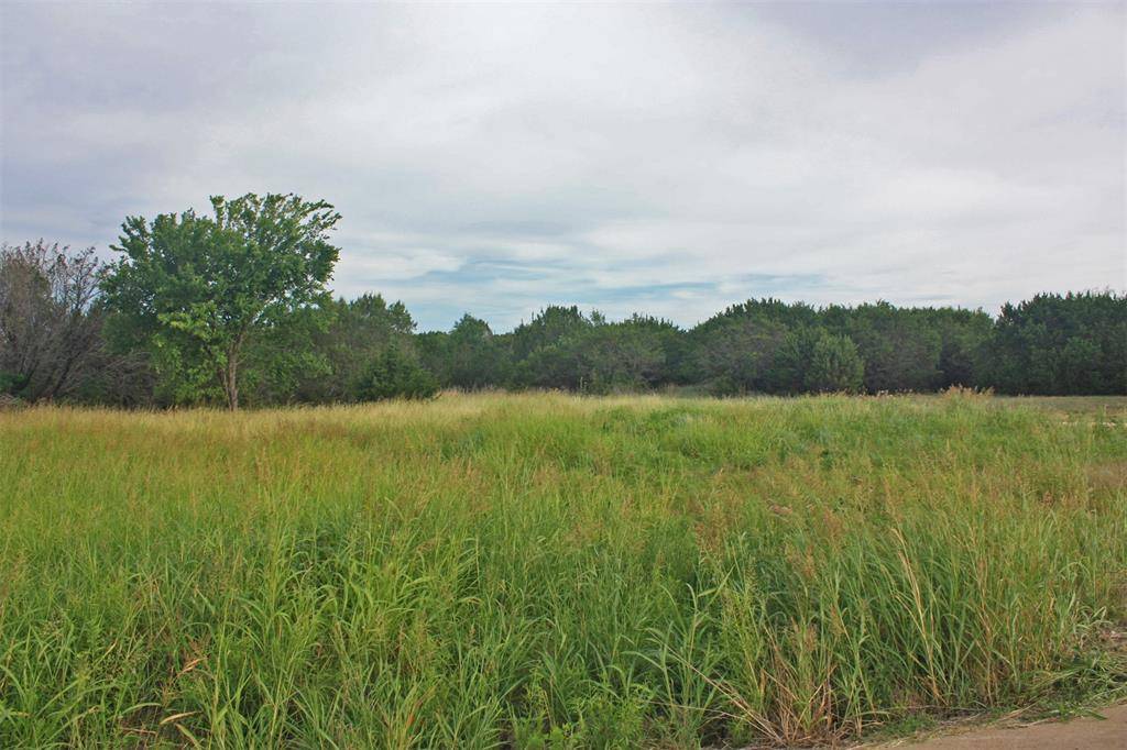 Nemo, TX 76070,Lot 1 Mary Kay Court