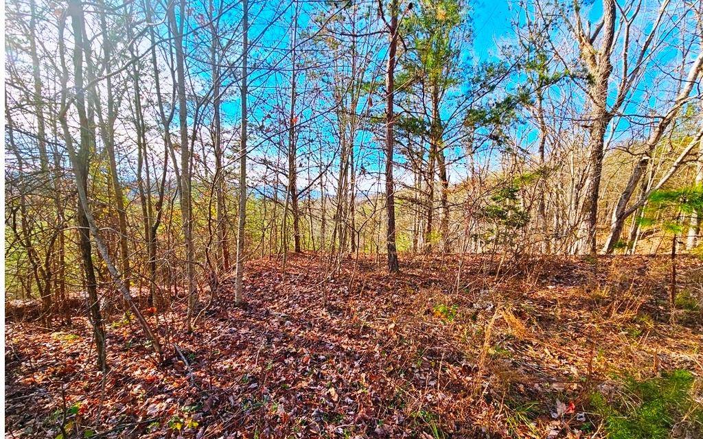 Murphy, NC 28906,Lot 80 Graystone Drive