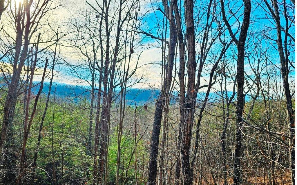 Murphy, NC 28906,Lot 80 Graystone Drive