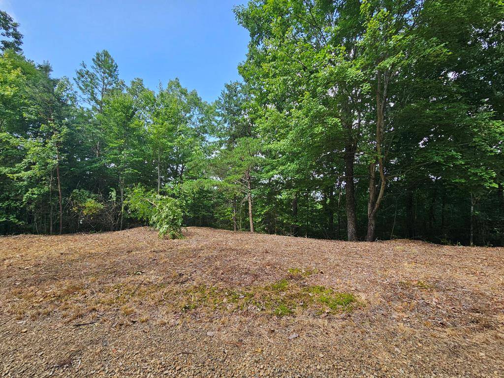 Murphy, NC 28906,Lot 80 Graystone Drive