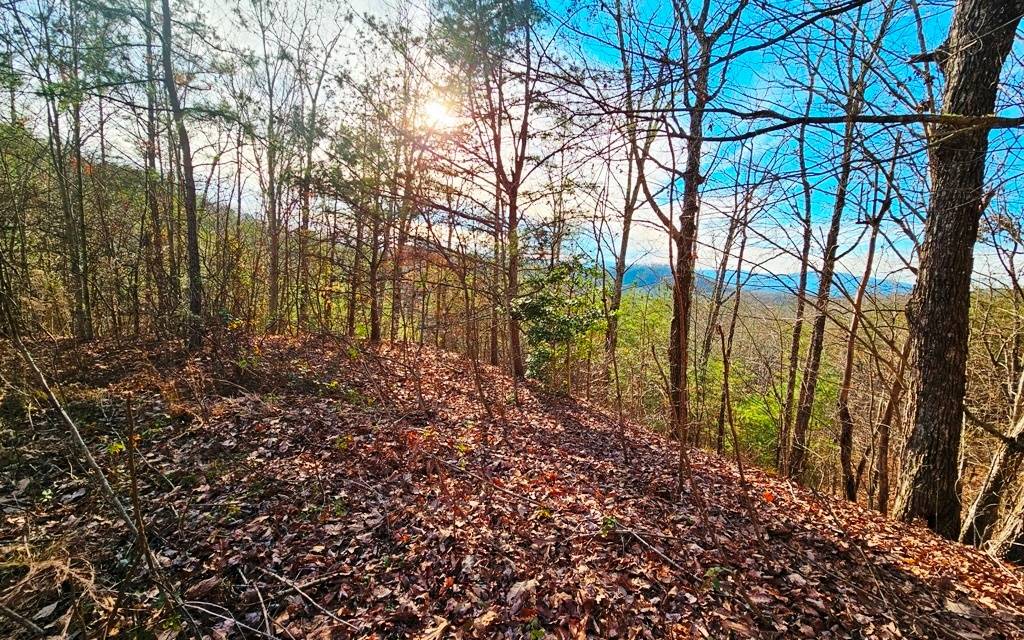 Murphy, NC 28906,Lot 80 Graystone Drive