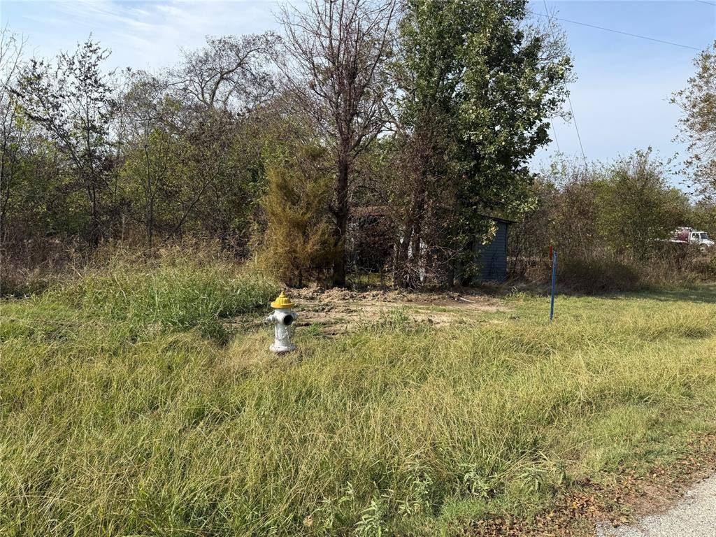 Bonham, TX 75418,000 Silo Road