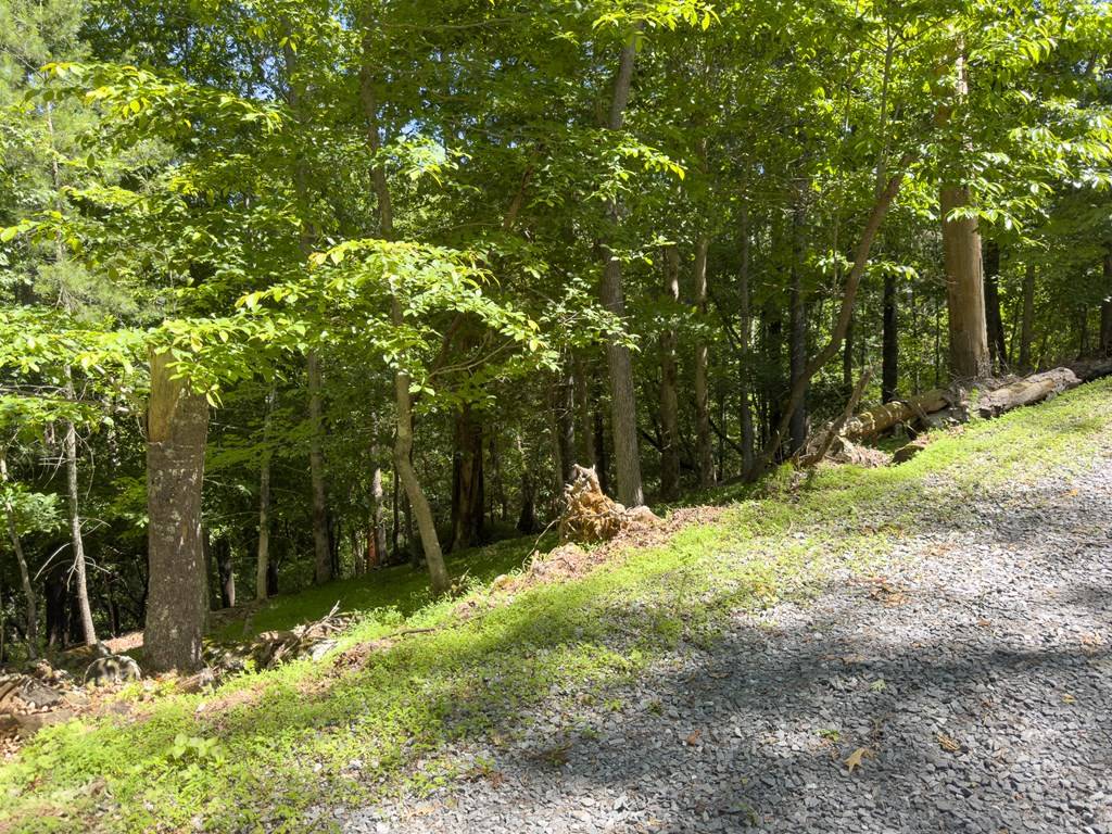 Ellijay, GA 30540,00 Chattle Way