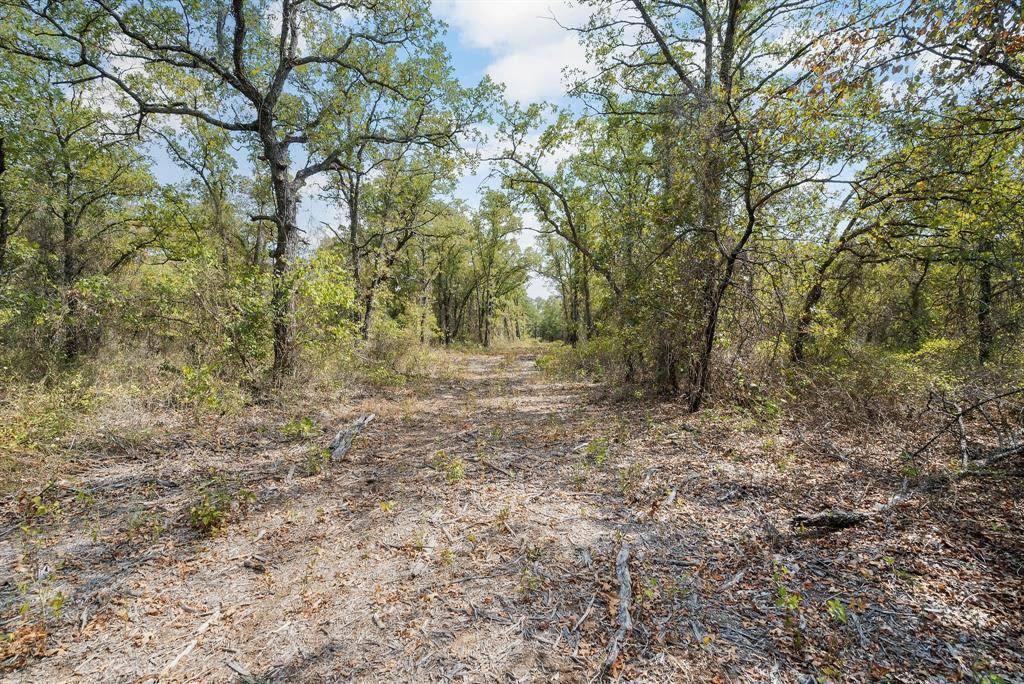 Perrin, TX 76486,Lot 15 Double B Ranch Road S