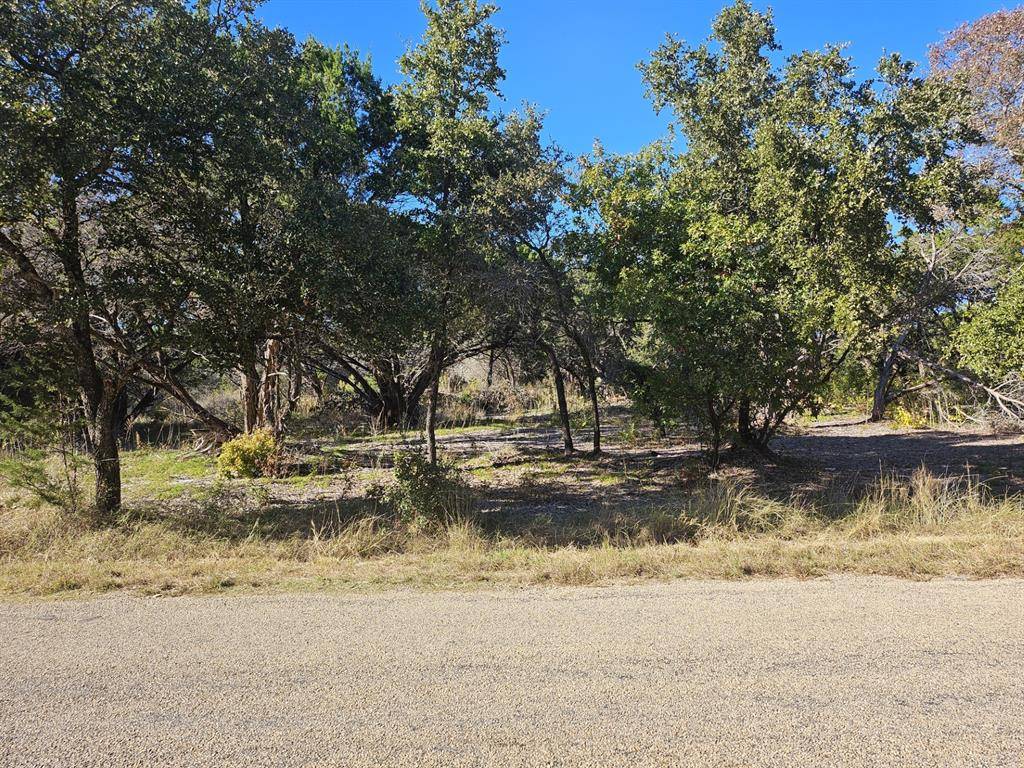 Granbury, TX 76048,2616 River View Trail