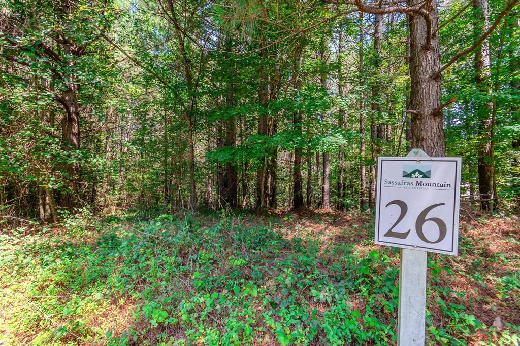 Ellijay, GA 30536,Lot 26 Foxpaw Leaf Lane