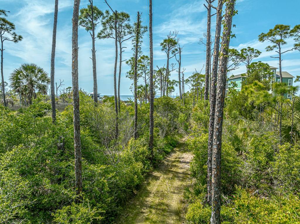 St. George Island, FL 32328,1831 Bayview Dr