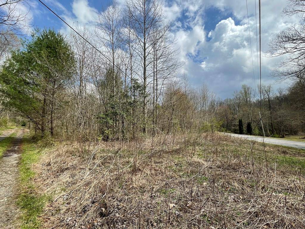 Hayesville, NC 28904,12.1 AC Laurel Branch Road