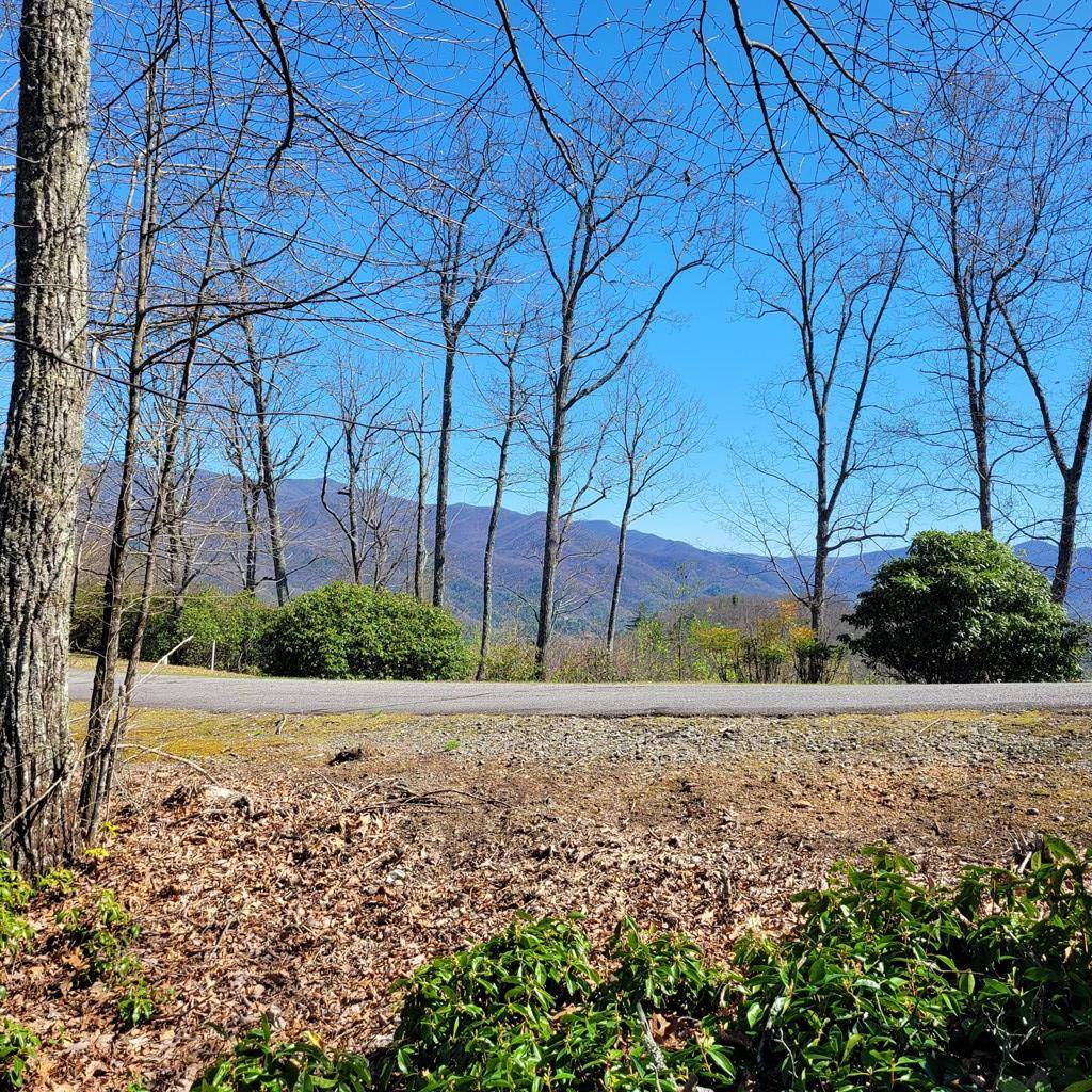 Hayesville, NC 28904,LT 20 Summit Drive