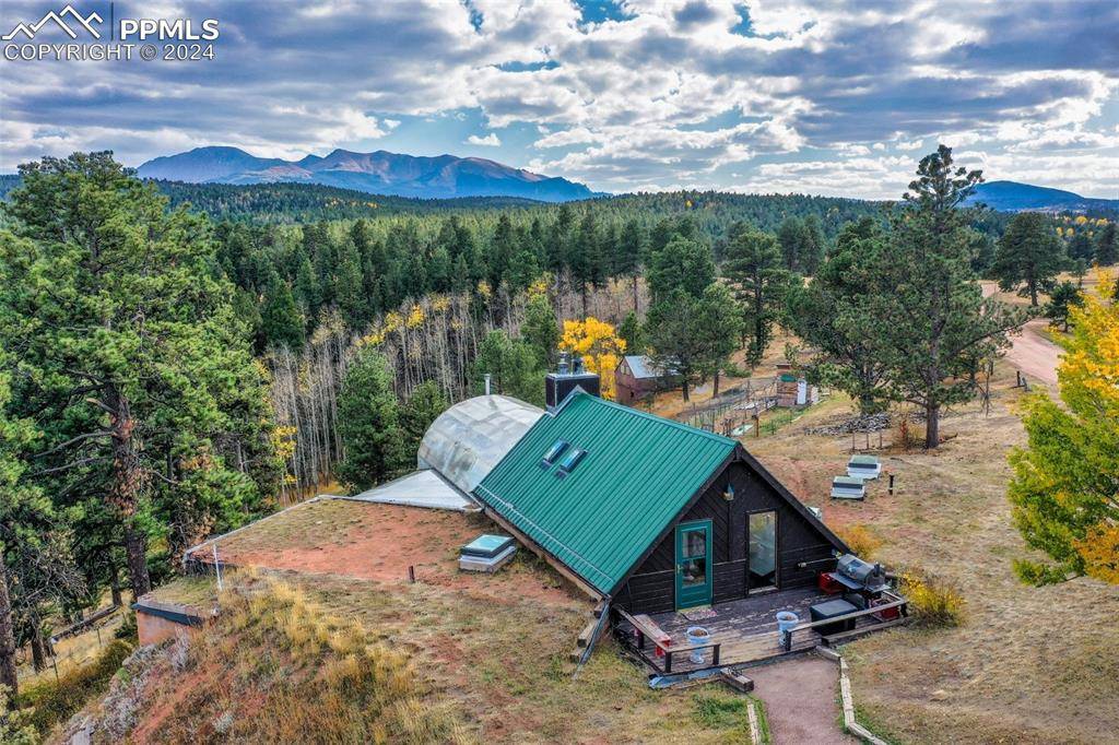 Woodland Park, CO 80863,700 Markus RD