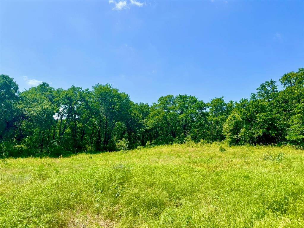 Poolville, TX 76487,Lot 42 Antrim Ct