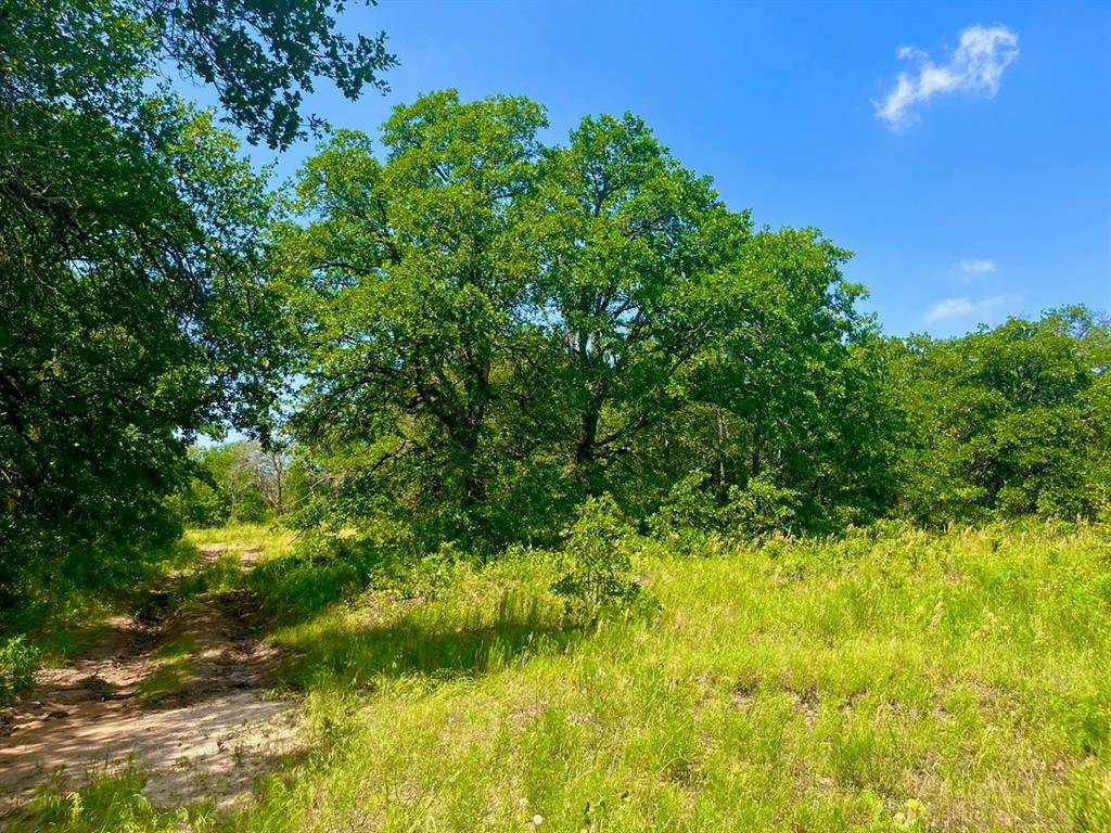 Poolville, TX 76487,Lot 42 Antrim Ct