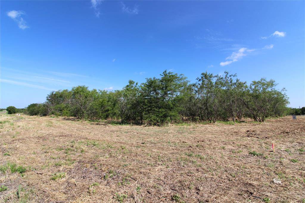 Kaufman, TX 75142,TBD Lot 1 County Road 146