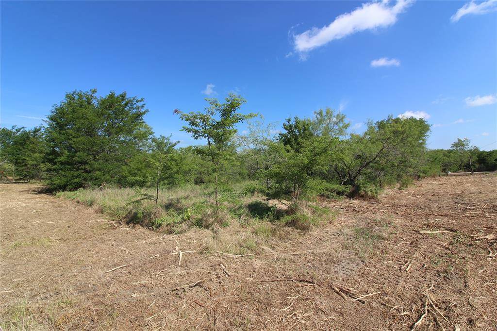 Kaufman, TX 75142,TBD Lot 4 County Road 146