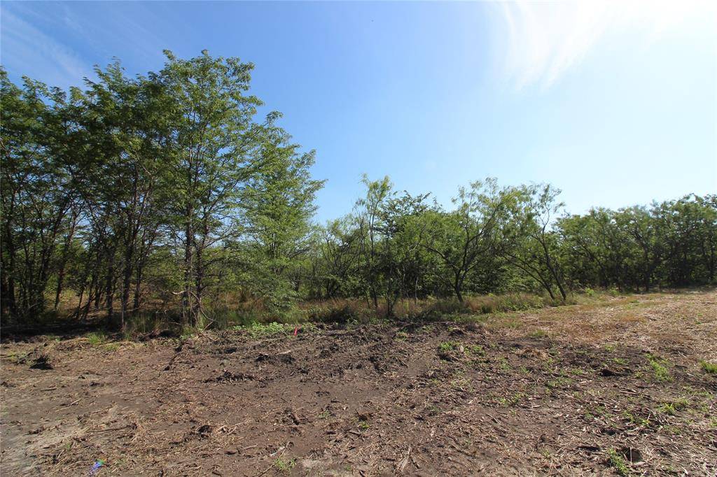 Kaufman, TX 75142,TBD Lot 8 FM 2860