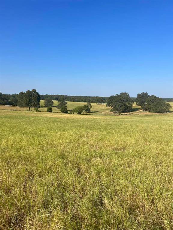 Troup, TX 75789,TBD CR 3812 (Tract 9)