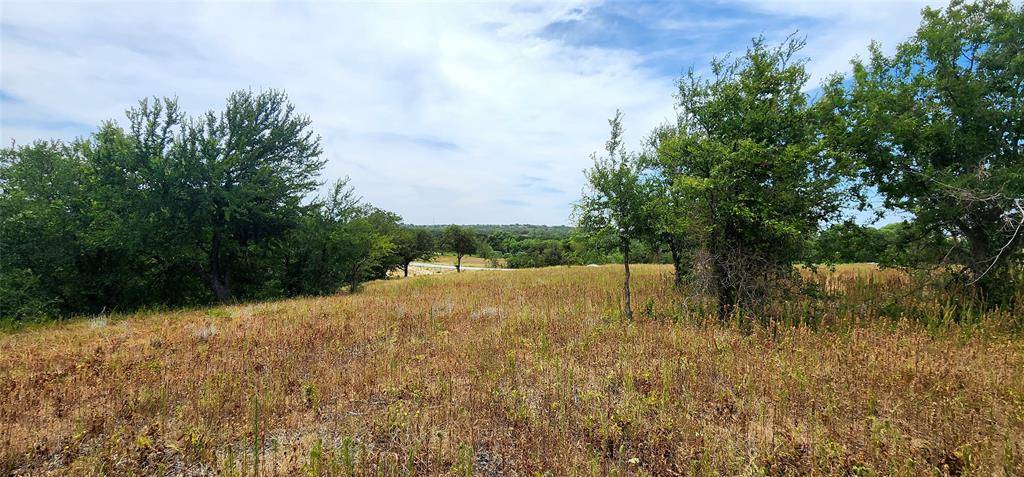 Springtown, TX 76082,1084 Gonzollas Road