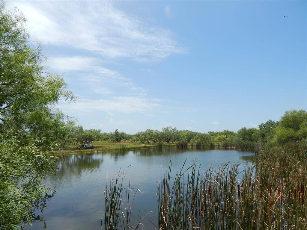 Bangs, TX 76823,12200 County Road 142