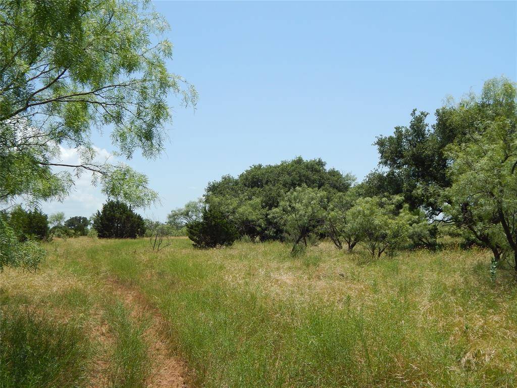 Bangs, TX 76823,12200 County Road 142