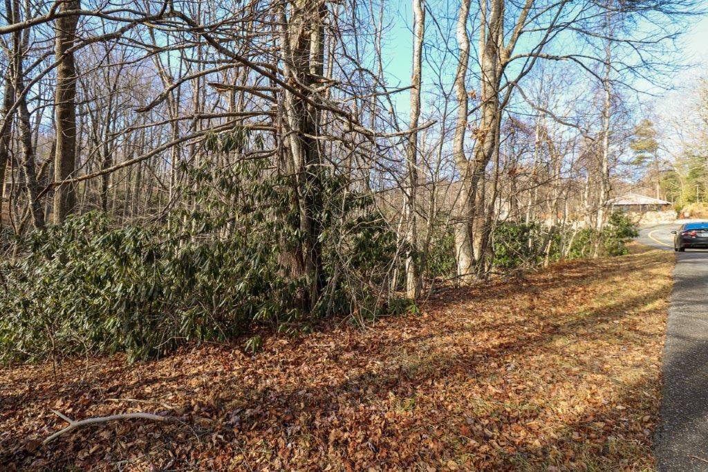 Fancy Gap, VA 24328,Lot 77 Brookside Lane