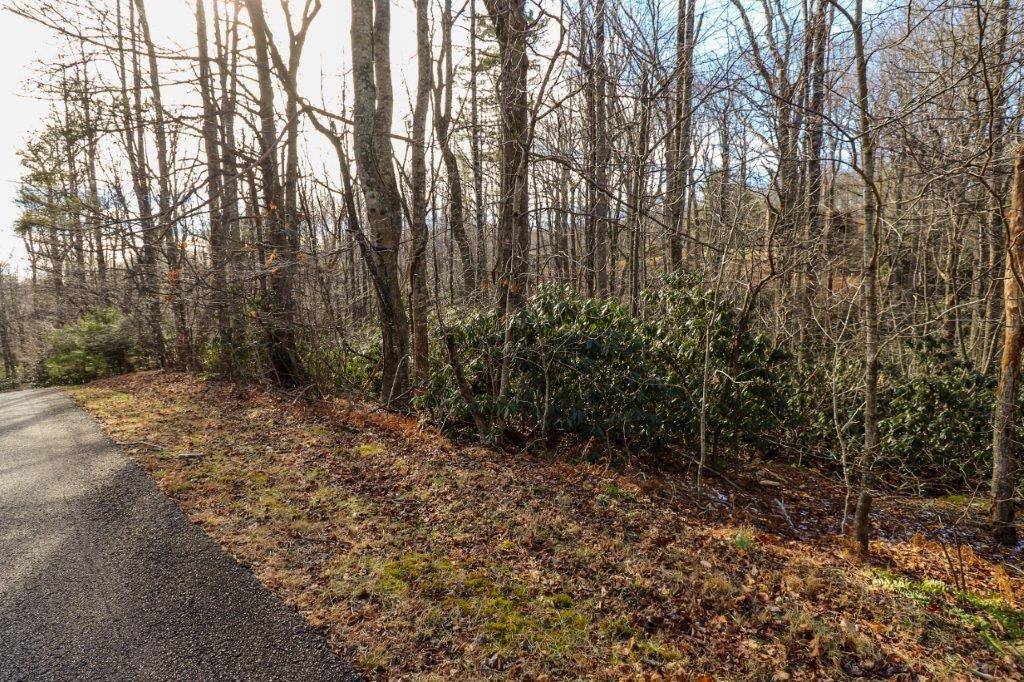 Fancy Gap, VA 24328,Lot 77 Brookside Lane