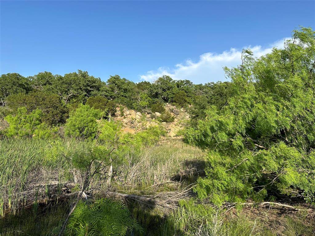 Brownwood, TX 76801,5730 Gobbler Hollow